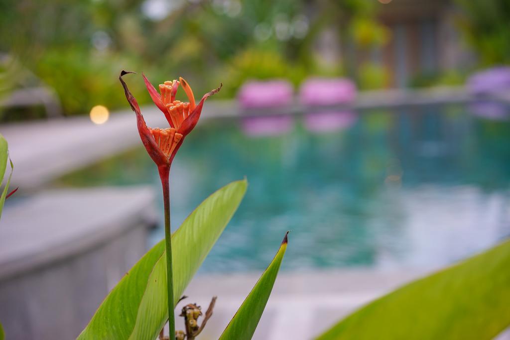 Ibludan Hotel เซงกีกี ภายนอก รูปภาพ